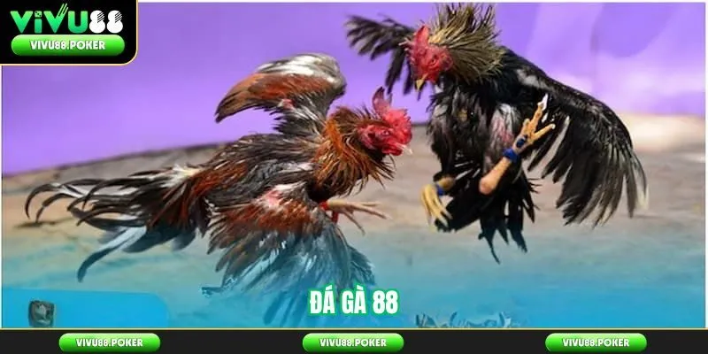 Đá Gà 88