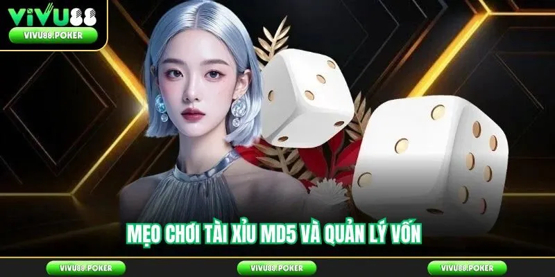 Mẹo Chơi Tài Xỉu MD5 và Quản Lý Vốn